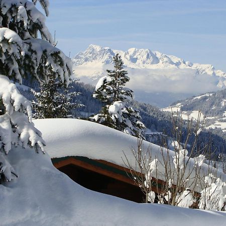 Chalets Ebner Eben Im Pongau Exteriér fotografie